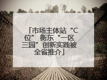 市场主体站“C位” 衡东“一区三园”创新实践被全省推介