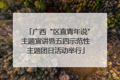 广西“区直青年说”主题宣讲暨五四示范性主题团日活动举行