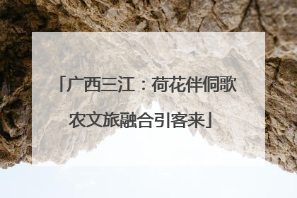 广西三江：荷花伴侗歌 农文旅融合引客来