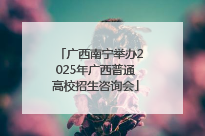 广西南宁举办2025年广西普通高校招生咨询会