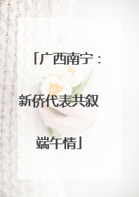广西南宁：新侨代表共叙端午情