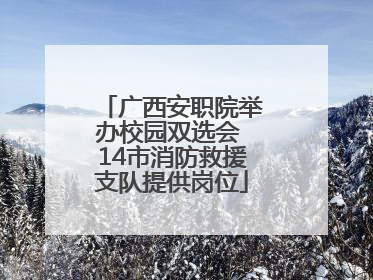 广西安职院举办校园双选会 14市消防救援支队提供岗位