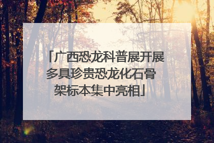 广西恐龙科普展开展 多具珍贵恐龙化石骨架标本集中亮相
