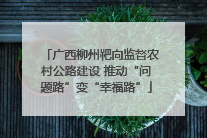 广西柳州靶向监督农村公路建设 推动“问题路”变“幸福路”