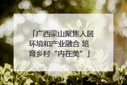 广西蒙山聚焦人居环境和产业融合 培育乡村“内在美”