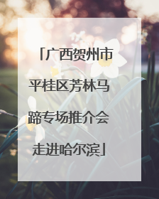 广西贺州市平桂区芳林马蹄专场推介会走进哈尔滨