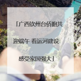 广西钦州台侨胞共迎端午 看运河建设感受家国强大