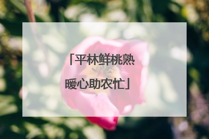 平林鲜桃熟 暖心助农忙