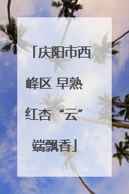 庆阳市西峰区 早熟红杏“云”端飘香