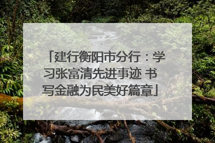 建行衡阳市分行：学习张富清先进事迹 书写金融为民美好篇章