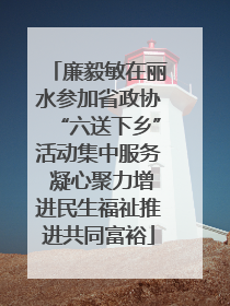 廉毅敏在丽水参加省政协“六送下乡”活动集中服务 凝心聚力增进民生福祉推进共同富裕