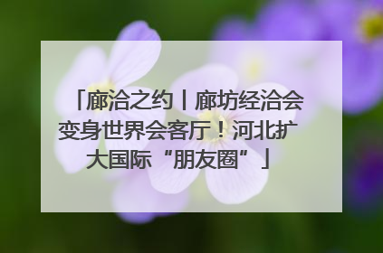 廊洽之约丨廊坊经洽会变身世界会客厅！河北扩大国际“朋友圈”