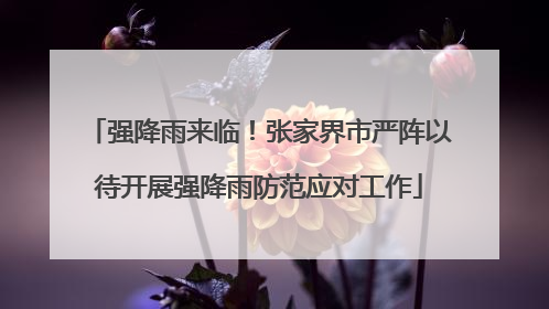 强降雨来临！张家界市严阵以待开展强降雨防范应对工作
