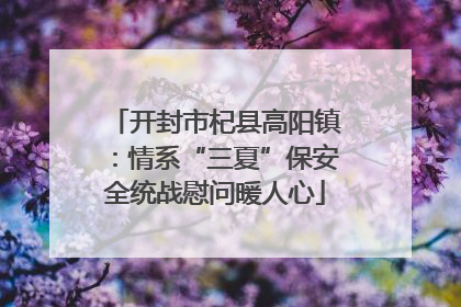 开封市杞县高阳镇：情系“三夏”保安全统战慰问暖人心