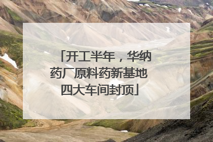 开工半年，华纳药厂原料药新基地四大车间封顶