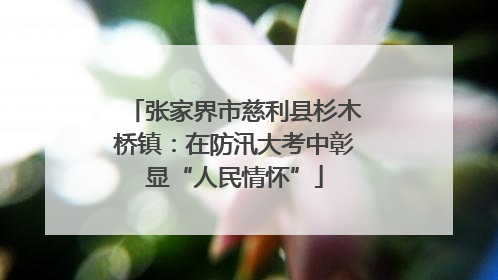 张家界市慈利县杉木桥镇：在防汛大考中彰显“人民情怀”