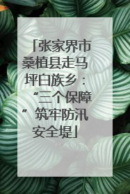 张家界市桑植县走马坪白族乡：“三个保障”筑牢防汛安全堤