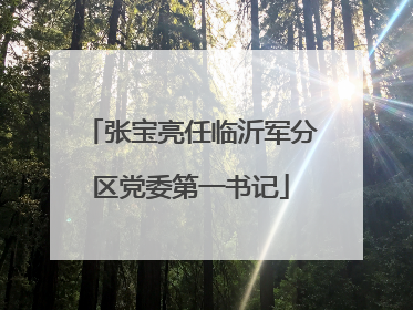 张宝亮任临沂军分区党委第一书记