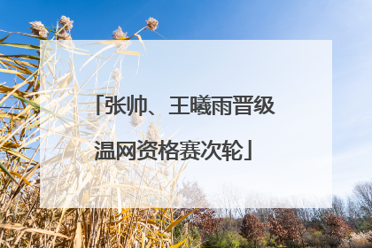 张帅、王曦雨晋级温网资格赛次轮