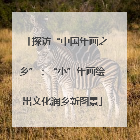 探访“中国年画之乡”：“小”年画绘出文化润乡新图景