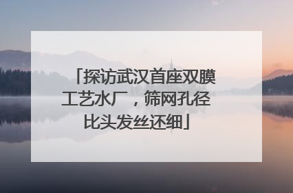 探访武汉首座双膜工艺水厂，筛网孔径比头发丝还细