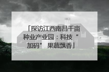 探访江西南昌千亩种业产业园：科技“加码” 果蔬飘香