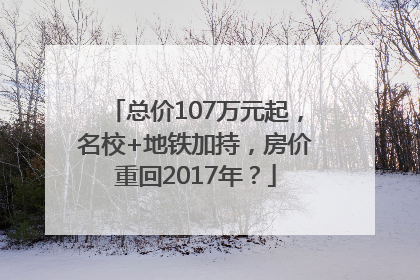 总价107万元起，名校+地铁加持，房价重回2017年？