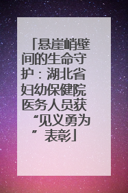 悬崖峭壁间的生命守护：湖北省妇幼保健院医务人员获“见义勇为”表彰