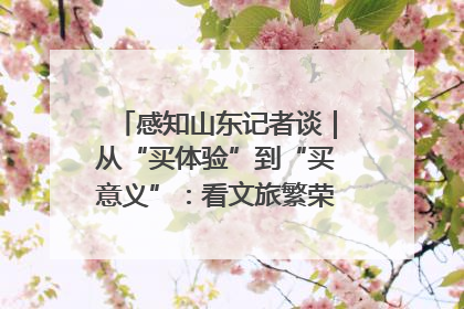 感知山东记者谈｜从“买体验”到“买意义”：看文旅繁荣背后的幸福新定义