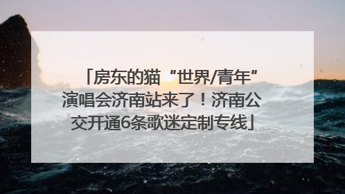 房东的猫“世界/青年”演唱会济南站来了！济南公交开通6条歌迷定制专线