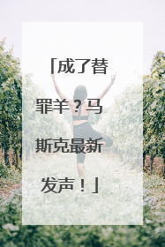 成了替罪羊？马斯克最新发声！