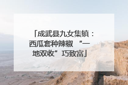 成武县九女集镇：西瓜套种辣椒 “一地双收”巧致富