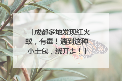 成都多地发现红火蚁，有毒！遇到这种小土包，绕开走！