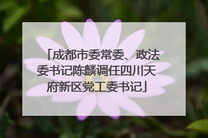 成都市委常委、政法委书记陈麟调任四川天府新区党工委书记