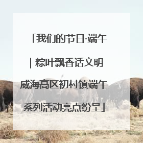 我们的节日·端午｜粽叶飘香话文明 威海高区初村镇端午系列活动亮点纷呈