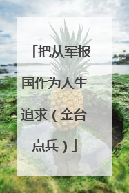 把从军报国作为人生追求（金台点兵）