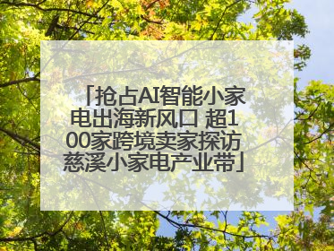 抢占AI智能小家电出海新风口 超100家跨境卖家探访慈溪小家电产业带