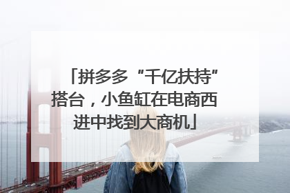 拼多多“千亿扶持”搭台，小鱼缸在电商西进中找到大商机