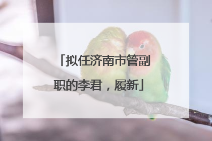拟任济南市管副职的李君，履新