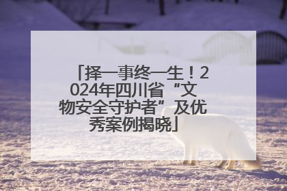 择一事终一生！2024年四川省“文物安全守护者”及优秀案例揭晓