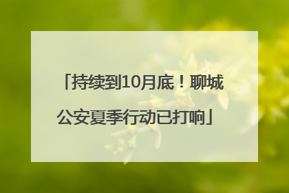 持续到10月底！聊城公安夏季行动已打响