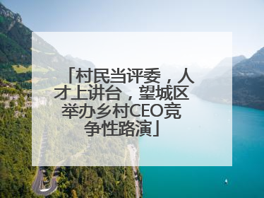 村民当评委，人才上讲台，望城区举办乡村CEO竞争性路演