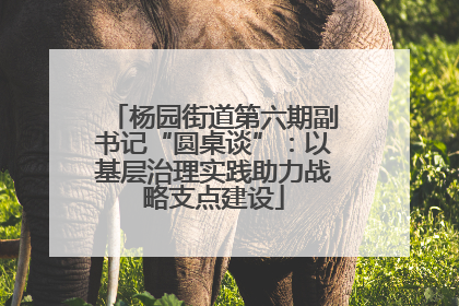 杨园街道第六期副书记“圆桌谈”：以基层治理实践助力战略支点建设