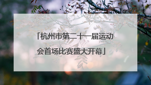 杭州市第二十一届运动会首场比赛盛大开幕