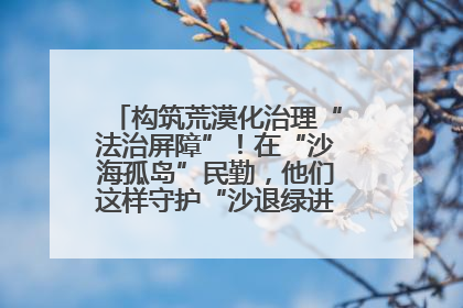 构筑荒漠化治理“法治屏障”！在“沙海孤岛”民勤，他们这样守护“沙退绿进”的生态奇迹