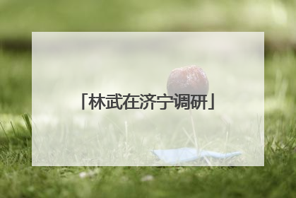 林武在济宁调研