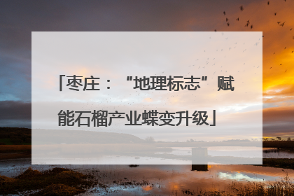 枣庄：“地理标志”赋能石榴产业蝶变升级