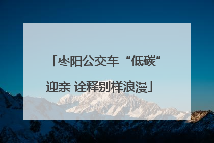 枣阳公交车“低碳”迎亲 诠释别样浪漫