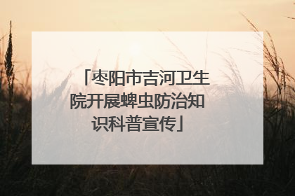 枣阳市吉河卫生院开展蜱虫防治知识科普宣传