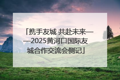携手友城 共赴未来——2025黄河口国际友城合作交流会侧记